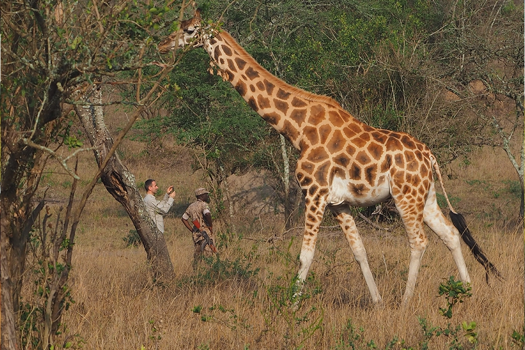 Uganda Photography Safari