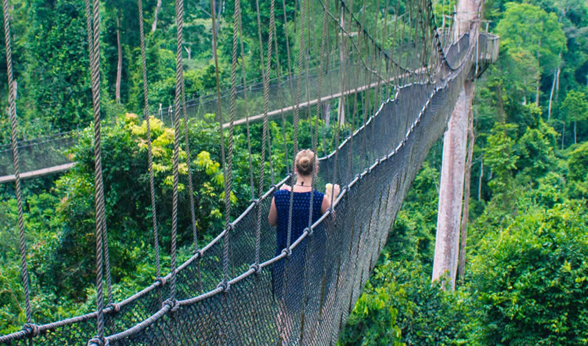 10 Days Best of Rwanda