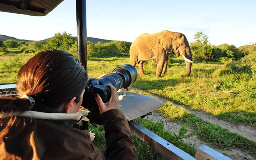 Uganda Photography Safari