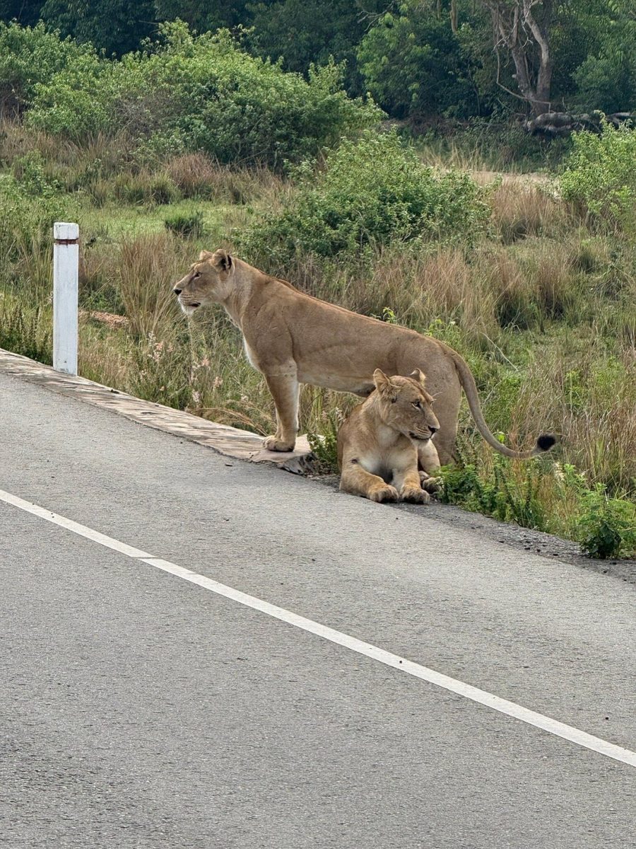 Queen Elizabeth National Park